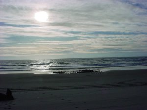 BellaRevealedFlorence