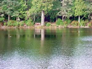 LakeMarie-Duck-Respite