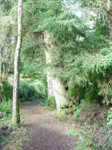 LakeMarie-HikinTrail