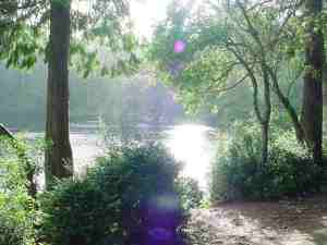 LakeMarie-SceneFromHikinTrail