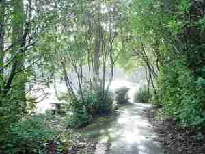 LakeMarie-TrailAroundLake