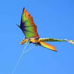 DragonKite