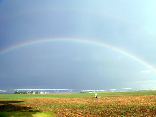 NebraskaFarmRainbow