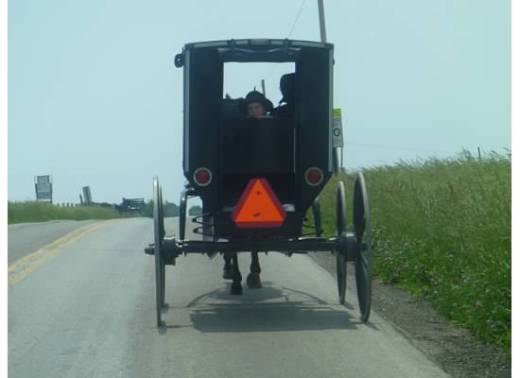 AmishBoyInWagonWindow