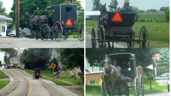 AmishCarriagesOnRoad