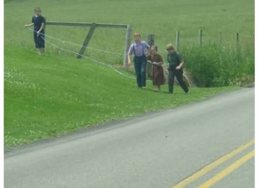 AmishChildrenPlaying