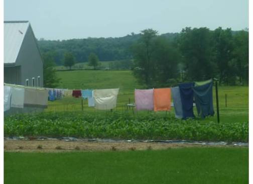 MennoniteLaundryMore