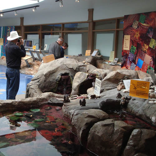 MarineLifeTouchingPool