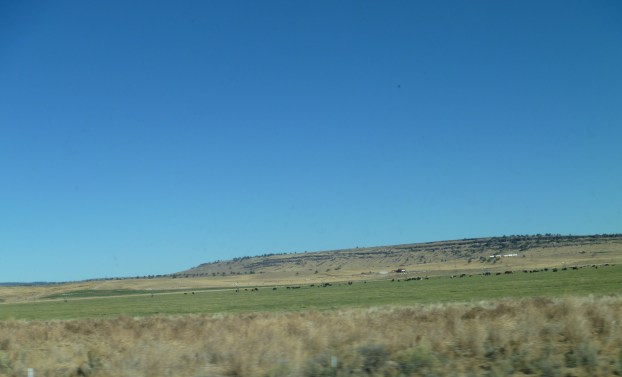 Oregon-Crops&Cattle