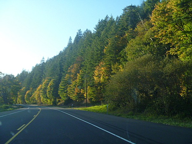 Oregon-SiuslawRiverValleFallColors