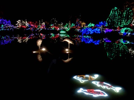 SalmonWithCranesInPond