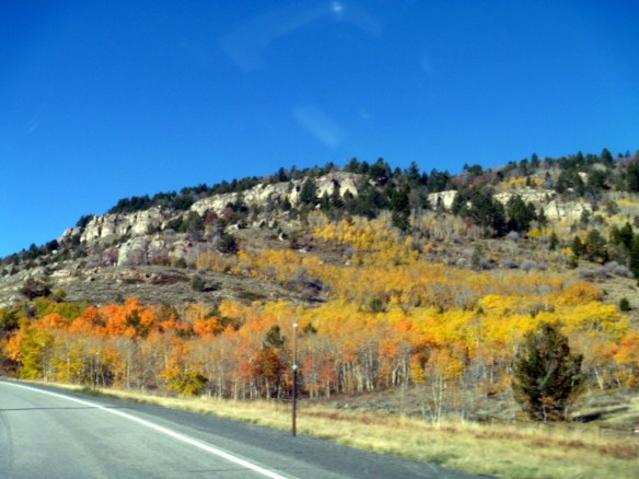 caribou-fallcolors-1
