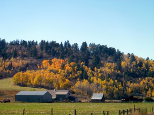 caribou-fallcolors-4