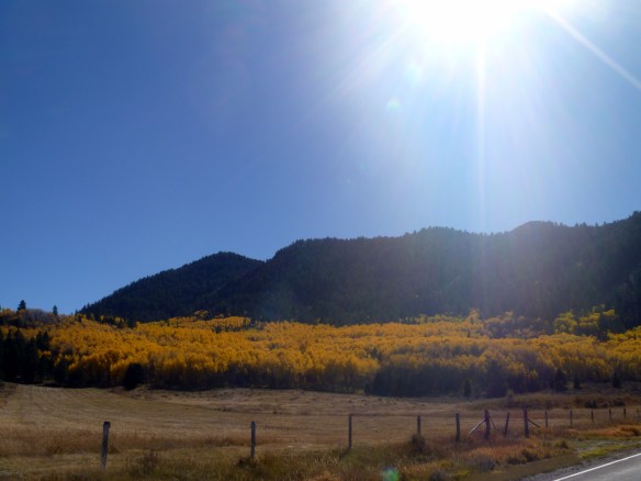 caribou-fallcolors-6
