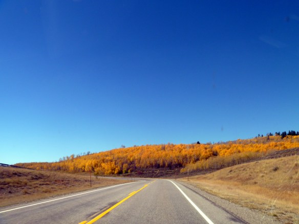 caribou-fallcolors-7
