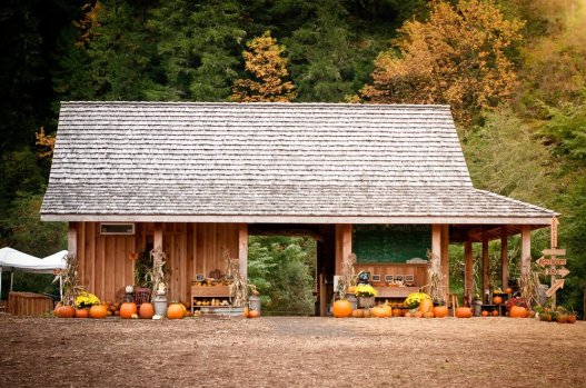 mahaffyranchpumpkinbarn