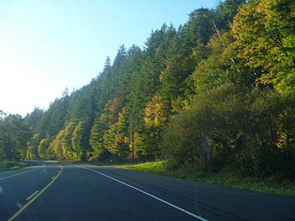 oregon-fallcolorssiuslawrivervalley