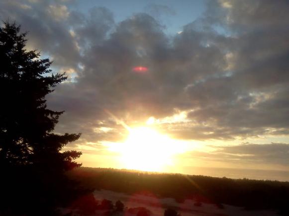 whalewatchingfromplatform-2