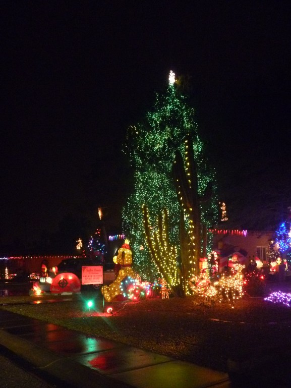 moonvalley-16-tree-1