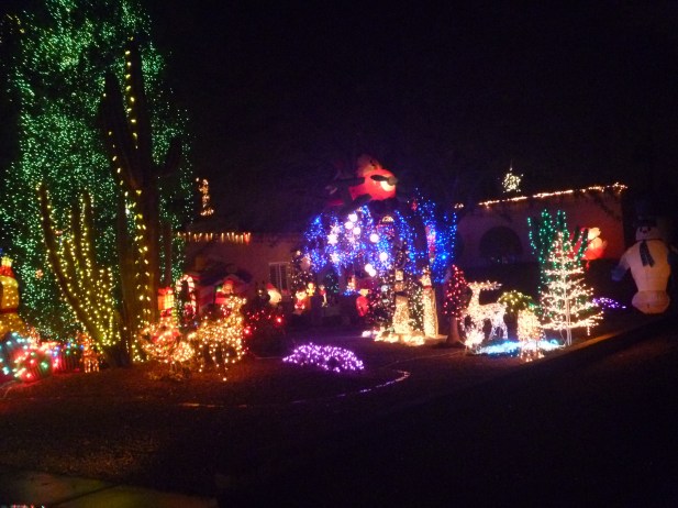 moonvalley-16-tree-2