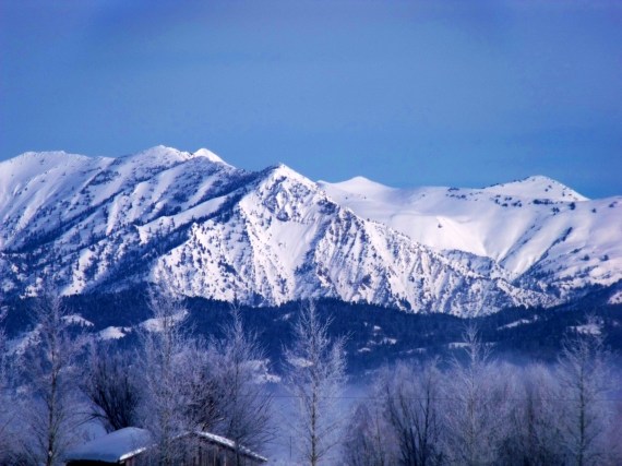 sitetoseefromfreedom-a3