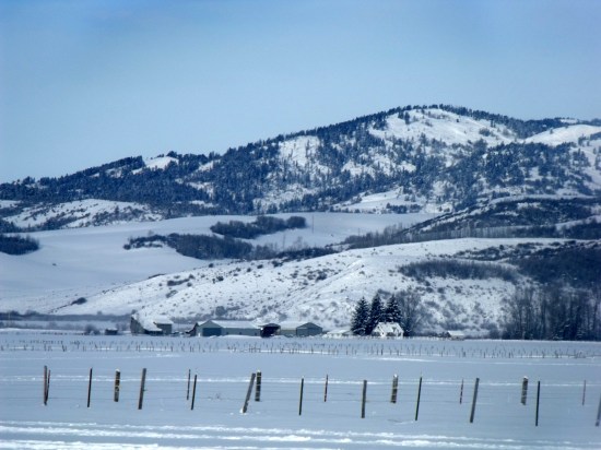 sitetoseefromfreedoma-1